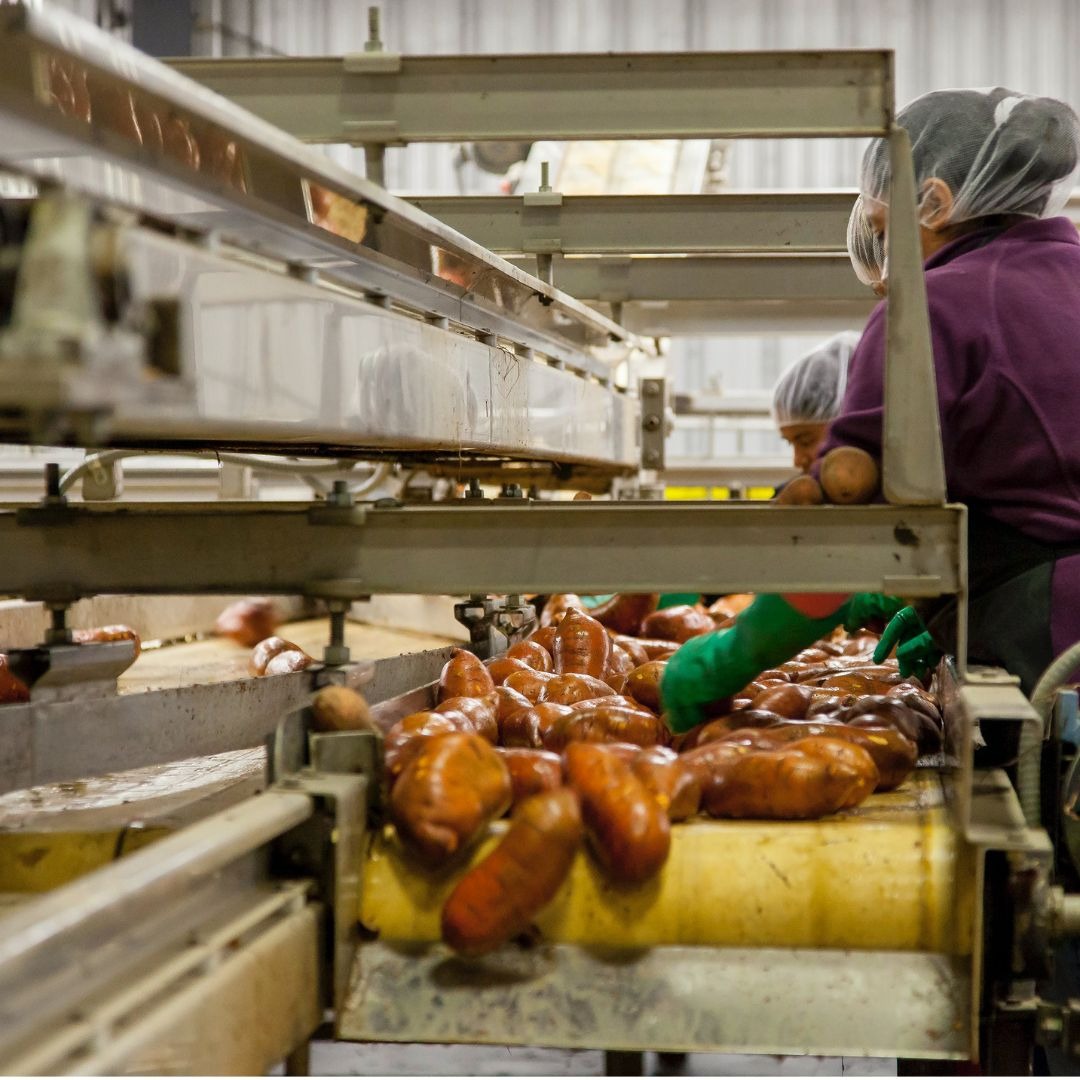 Food Processing Industry